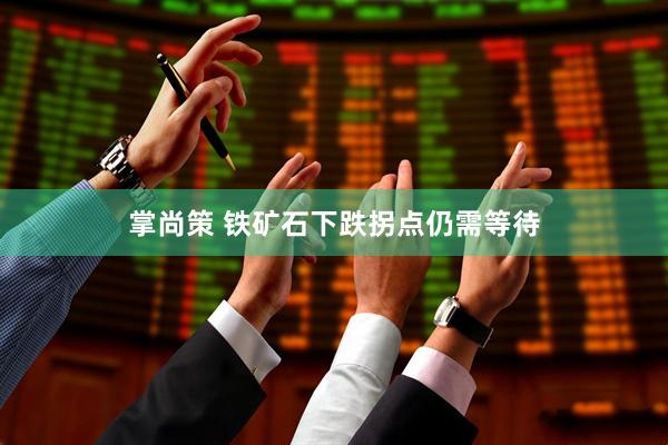 掌尚策 铁矿石下跌拐点仍需等待
