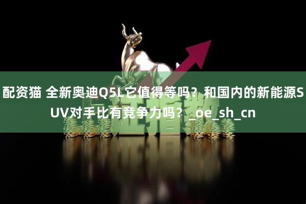 配资猫 全新奥迪Q5L它值得等吗？和国内的新能源SUV对手比有竞争力吗？_oe_sh_cn