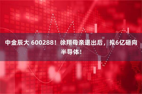 中金辰大 600288！徐翔母亲退出后，拟6亿砸向半导体！