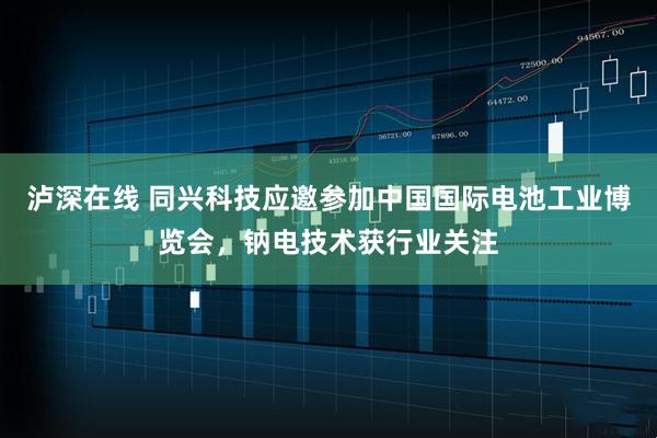 泸深在线 同兴科技应邀参加中国国际电池工业博览会,钠电技术获行业关注