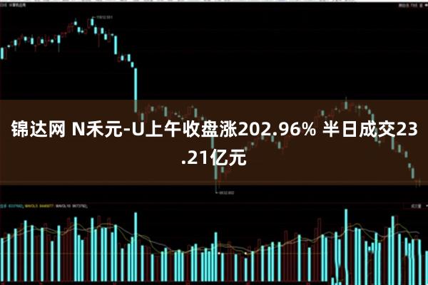 锦达网 N禾元-U上午收盘涨202.96% 半日成交23.21亿元